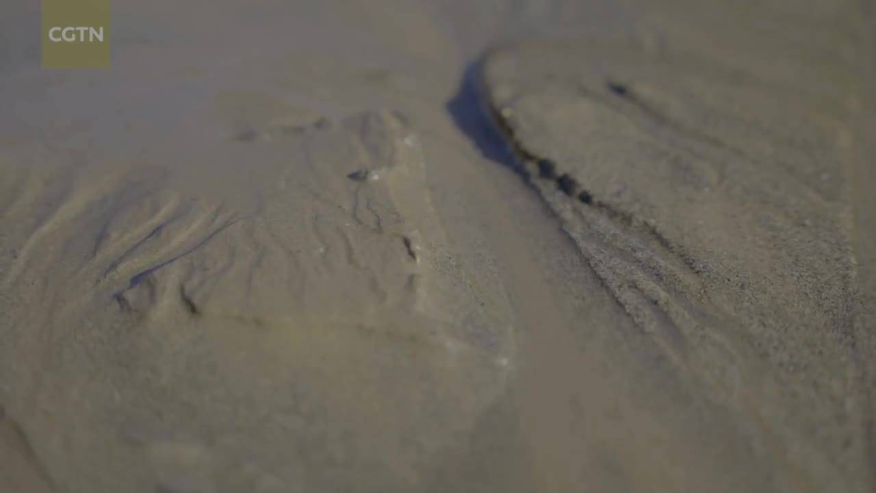 Journeys in Nature: Sanjiangyuan series | Ep. 2: Jinsha River Overture