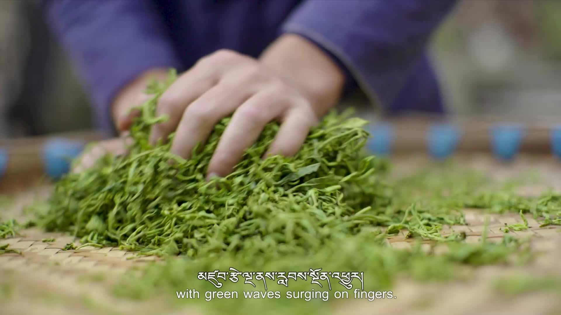 Tibetan Tea