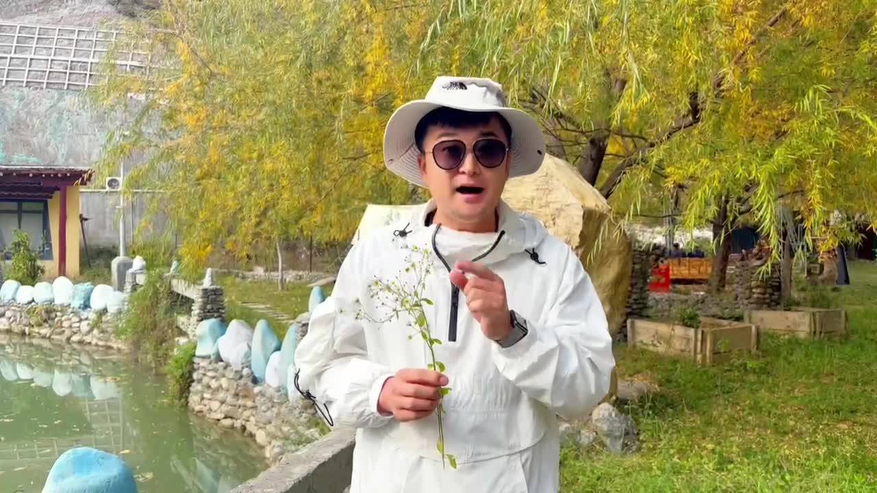 #康巴卫视格桑啦 10月30日19:30，我们在“弦子故乡”——甘孜州巴塘县，邀您相约“云端”，共赏康巴卫视《格桑啦》星空音乐会