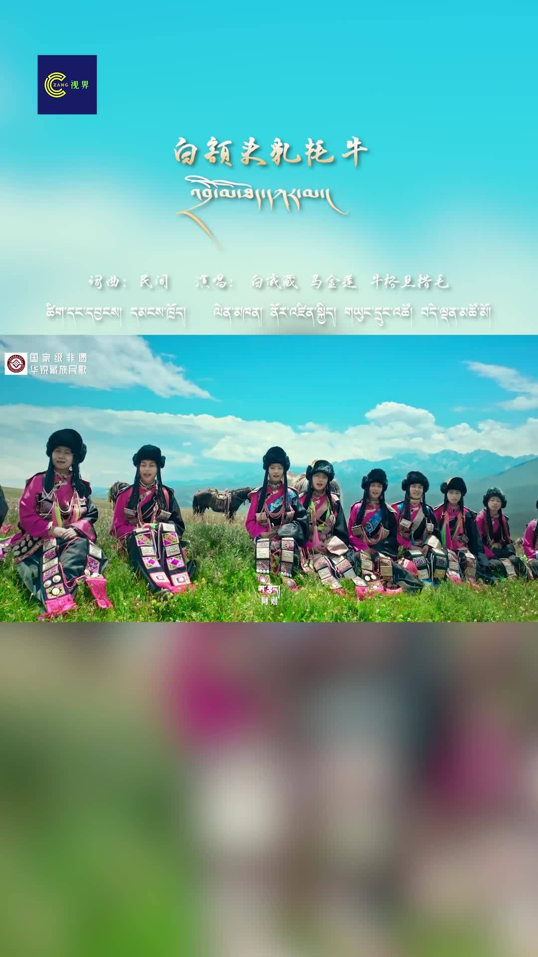 Tibetan folk song The White-head Yak