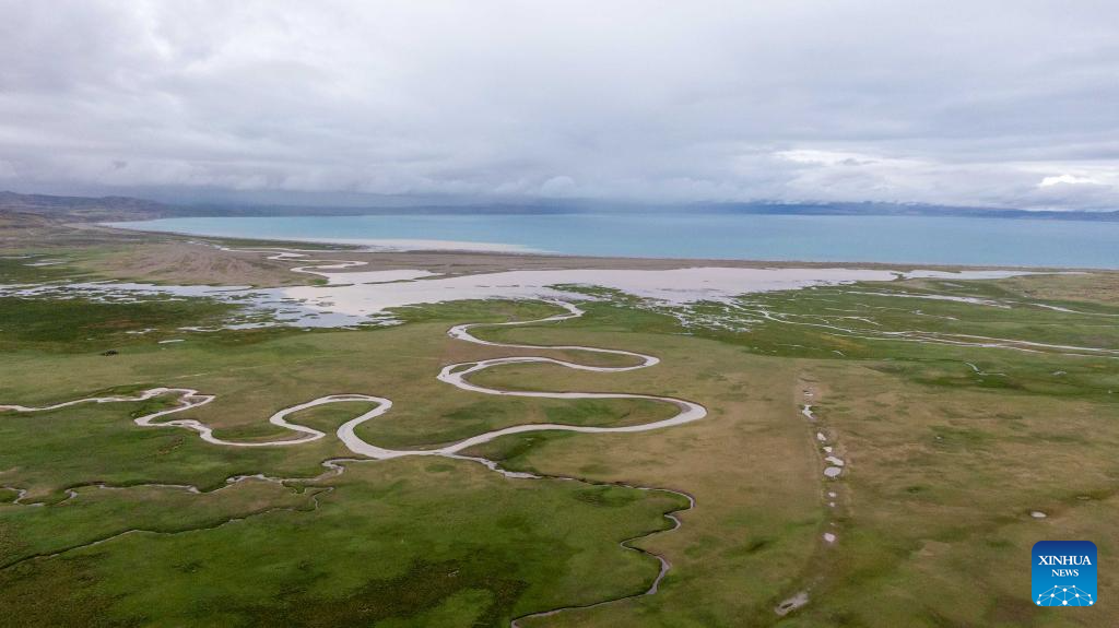 Wetland scenery near Mapam Yumco Lake in China's Xizang