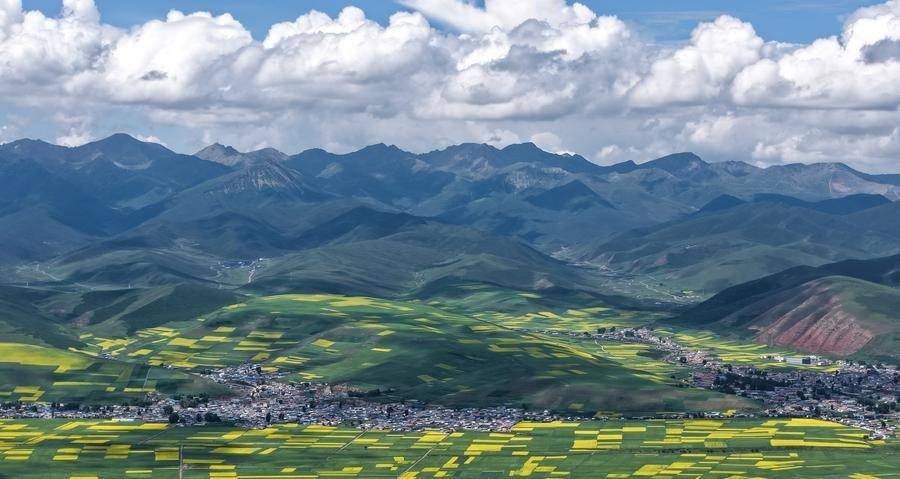 Feeling the pulse of rural revitalization in NW China's plateau villages